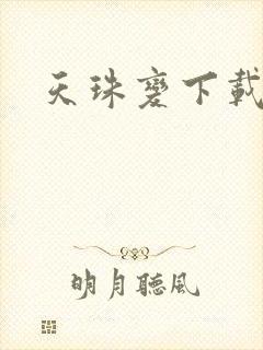 天珠变下载