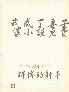 我成了妻子的老婆小说免费阅读全文