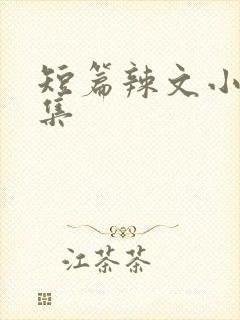 短篇辣文小说合集