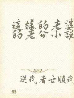 这样的老婆那样的老公小说