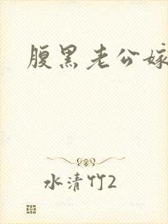 腹黑老公嫁不得