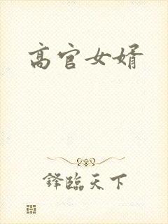 高官女婿封面