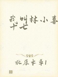 我叫林小喜今年十七