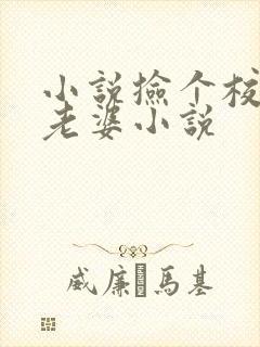 小说捡个校花做老婆小说封面