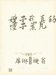 嫂子我真的不是傻子叶凡