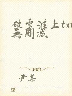 破云淮上txt无删减