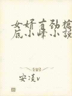 女婿有劲枪枪到底小峰小说
