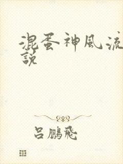 混蛋神风流史小说封面