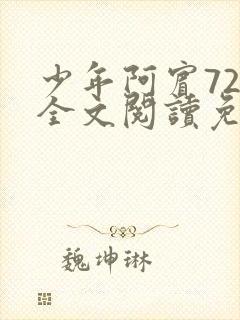 少年阿宾72章全文阅读免费