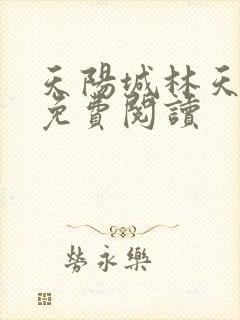 天阳城林天小说免费阅读