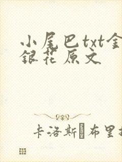 小尾巴txt金银花原文