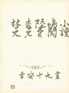 林爽陆鸣小说全文免费阅读