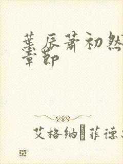 叶辰萧初然全部章节封面