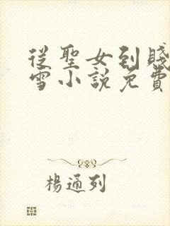 从圣女到贱奴兰雪小说免费阅读全文
