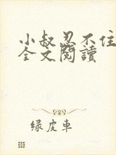 小叔忍不住小说全文阅读