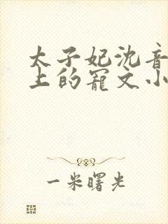 太子妃沈音和皇上的宠文小说