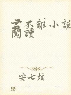 君不离小说免费阅读