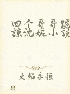 四个哥哥跪求原谅沈婉小说免费阅读