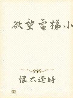 欲望电梯小说