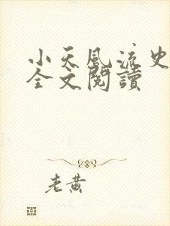 小天风流史小说全文阅读