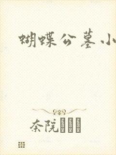 蝴蝶公墓小说