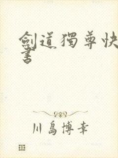 剑道独尊快眼看书封面