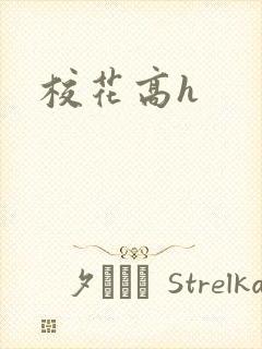 校花高h