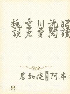 魏云川沈昭禾小说免费阅读笔趣阁