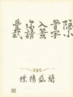 爱你入骨隐婚总裁请签字小船