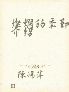 灿烂的季节剧情介绍封面