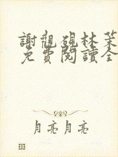 谢观砚林茉小说免费阅读全文封面