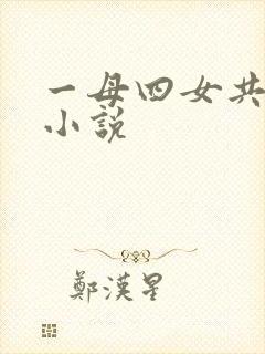 一母四女共一婿小说封面