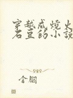 穿越成烧火丫头石豆的小说