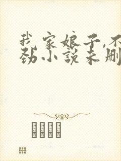 我家娘子,不对劲小说未删版完整封面