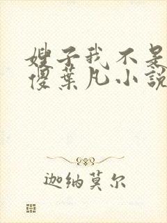 嫂子我不是真的傻叶凡小说免费阅读