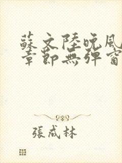 苏文陆晚风最新章节无弹窗笔趣阁封面
