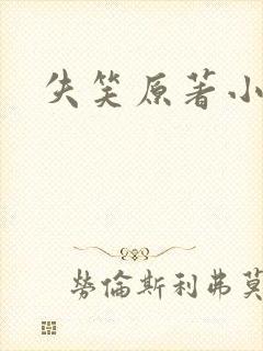 失笑原著小说