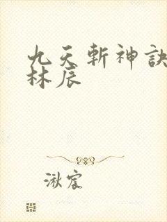 九天斩神诀免费林辰封面