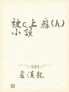 被c上瘾(h)小说封面
