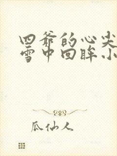 四爷的心尖宠妃雪中回眸小说版免费