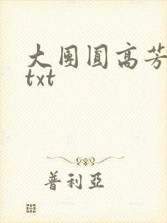 大团圆高芳小说txt