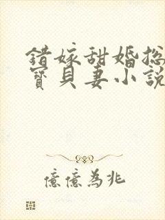 错嫁甜婚总裁的宝贝妻小说完整版