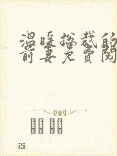 温暖总裁的替身前妻免费阅读