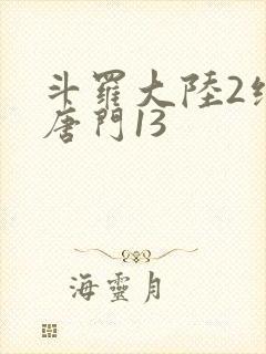 斗罗大陆2绝世唐门13