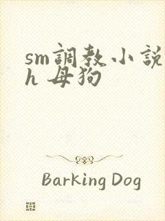 sm调教小说高h 母狗
