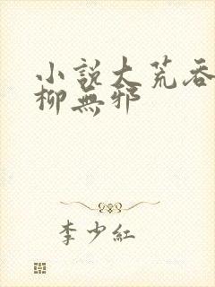 小说大荒吞天诀柳无邪