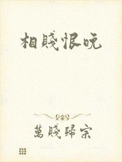 相贱恨晚封面