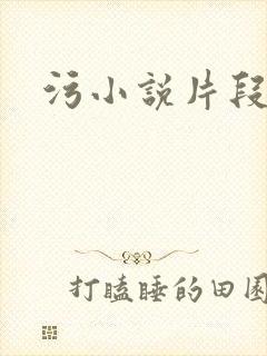污小说片段