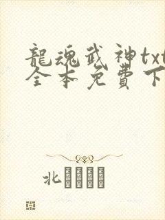龙魂武神txt全本免费下载