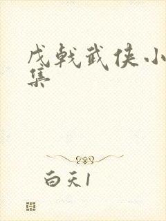 戊戟武侠小说全集